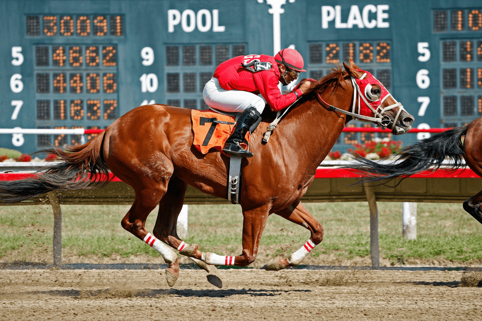 Jockey riding a racehorse