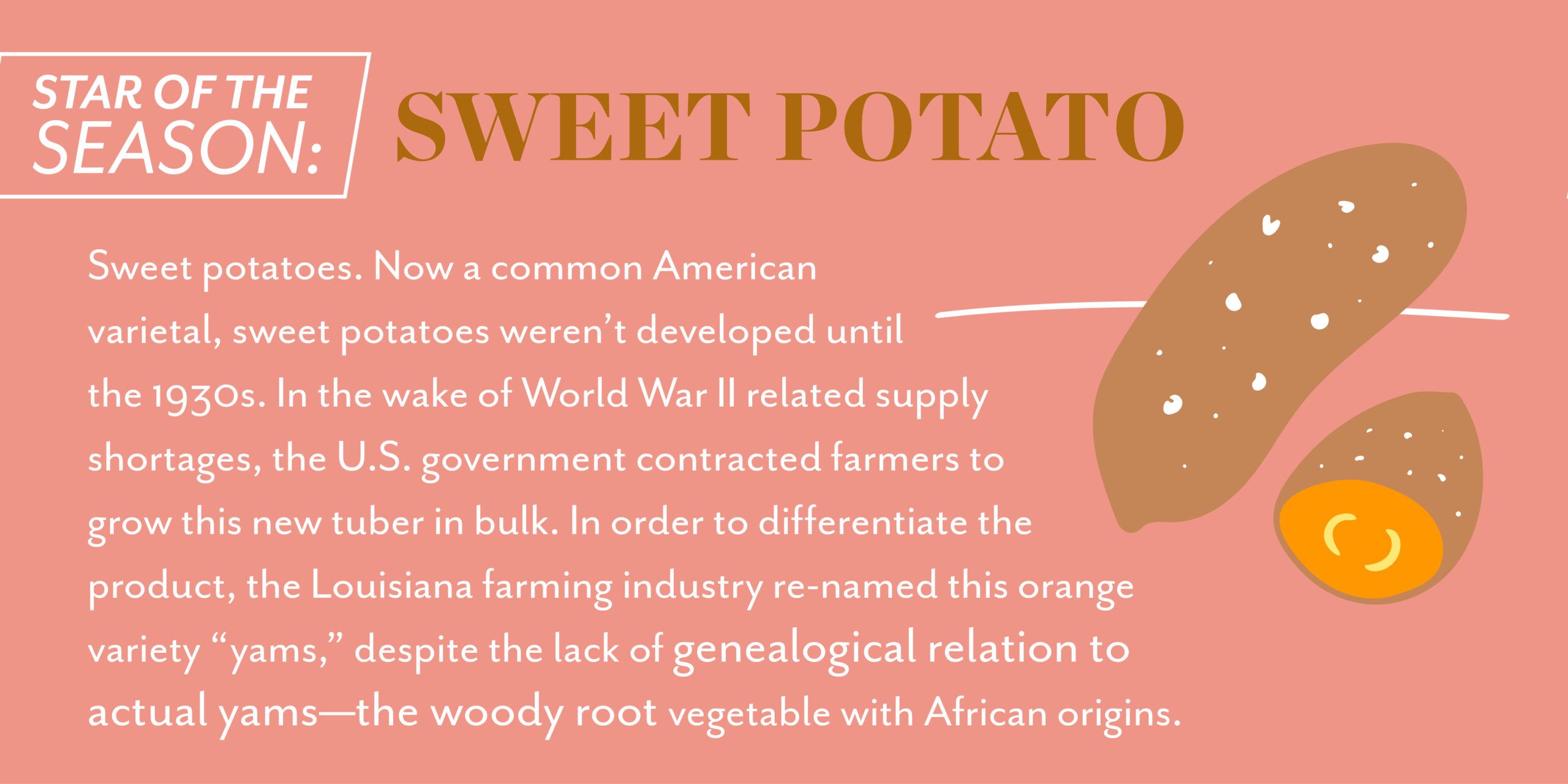 Celebrate the Flavors of Fall at Laurel