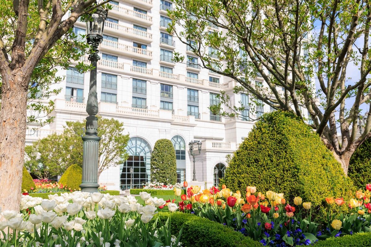 courtyard of tulips blooming