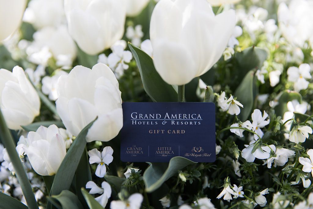 gift card sitting in a bouquet of white tulips