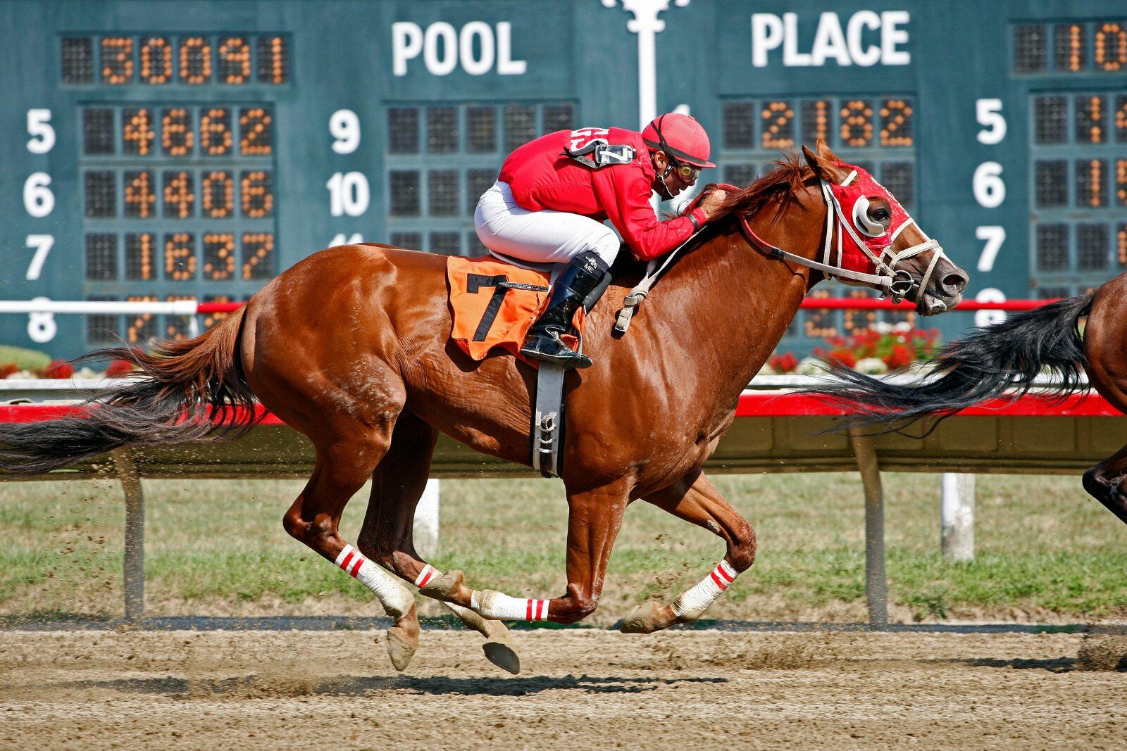 jockey riding a horse during a race