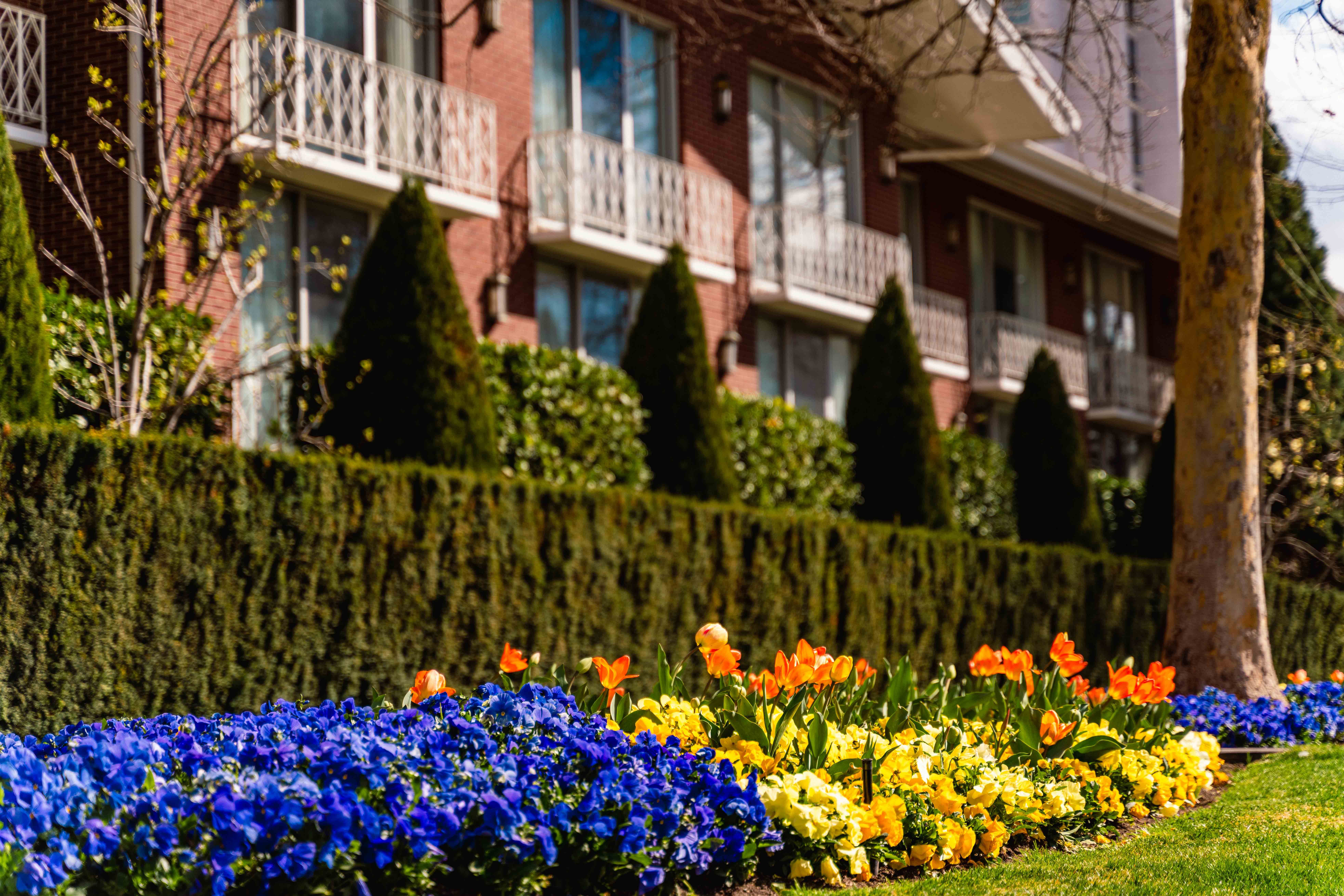 Little America exterior flower beds