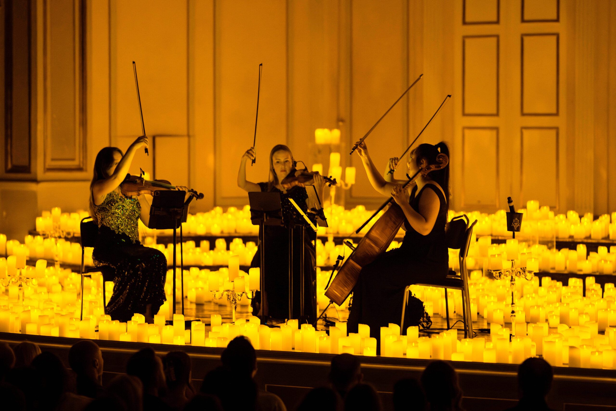 Candlelight Concert musicians