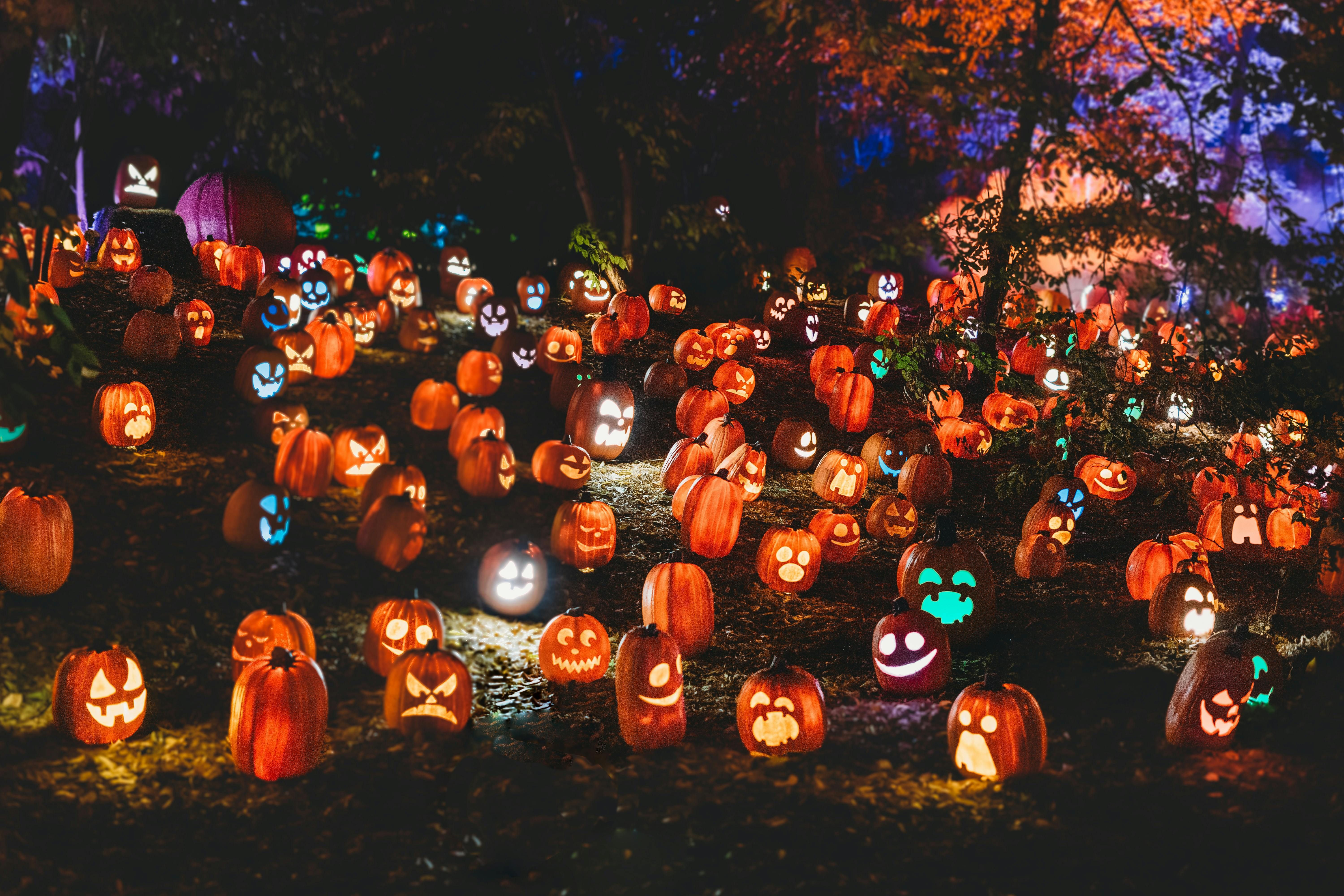 Your Family-Friendly Guide to Halloween Fun Around Salt Lake City